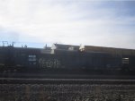 CIGX 803884
